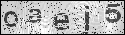 human verification image