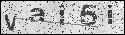human verification image