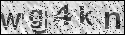 human verification image