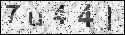 human verification image