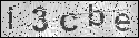 human verification image