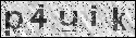 human verification image