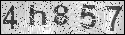 human verification image