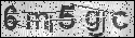 human verification image