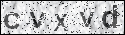 human verification image