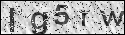 human verification image