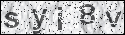 human verification image