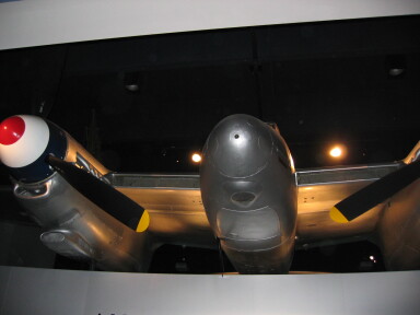 IMG3576_Zn.jpg