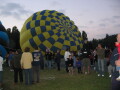 IMG3638_Zn.jpg