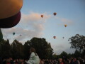 IMG3655_Zn.jpg