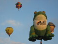 IMG3662_Zn.jpg
