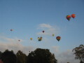 IMG3663_Zn.jpg