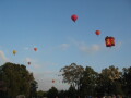 IMG3669_Zn.jpg