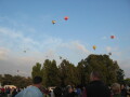 IMG3670_Zn.jpg