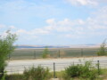 IMG3700_Zn.jpg