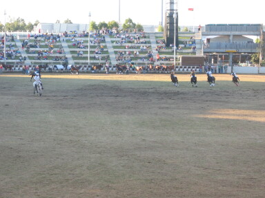 img3753_Zn.jpg