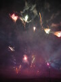 img3826_Zn.jpg