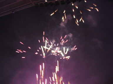 img3831_Zn.jpg