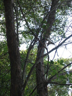IMG3858_Zn.jpg
