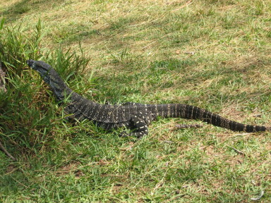 IMG3864_Zn.jpg