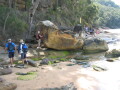 IMG3869_Zn.jpg