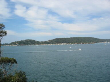 IMG3884_Zn.jpg