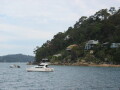 IMG3894_Zn.jpg