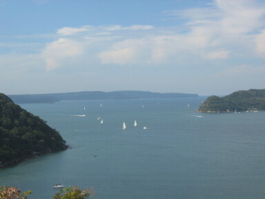 IMG3901_Zn.jpg