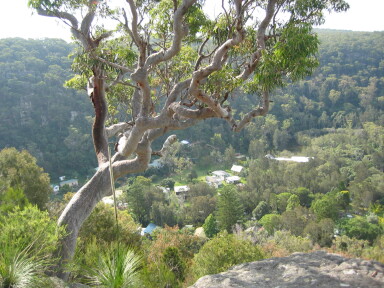 IMG3902_Zn.jpg