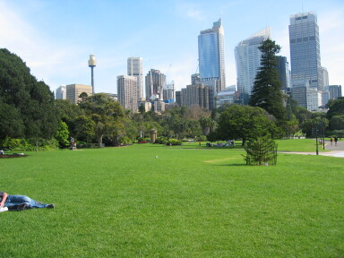 IMG3920_Zn.jpg
