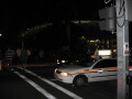 img3952_Zn.jpg