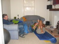 img3972_Zn.jpg