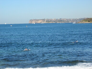 img4006_Zn.jpg