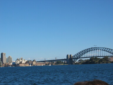 img4043_Zn.jpg