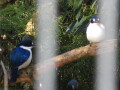 img4050_Zn.jpg