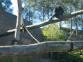 img4059_Zn.jpg
