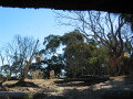 img4062_Zn.jpg