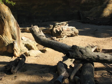 img4077_Zn.jpg