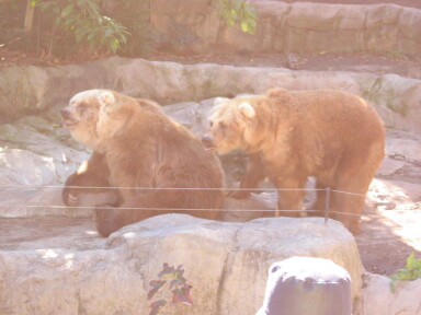 img4088_Zn.jpg