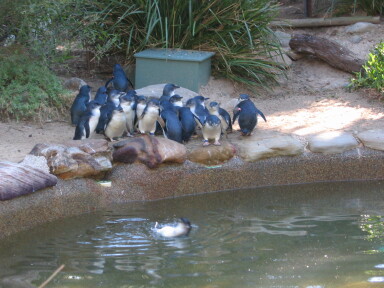 img4089_Zn.jpg
