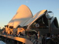 img4117_Zn.jpg