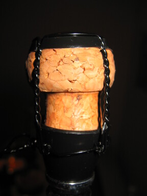 img4192_Zn.jpg
