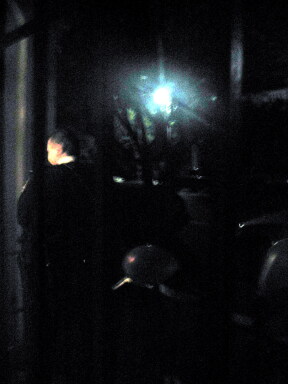 img4228_Zn.jpg