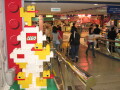img4306_Zn.jpg