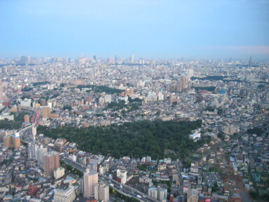 img4313_Zn.jpg