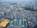 img4314_Zn.jpg
