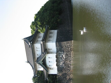 img4368_Zn.jpg