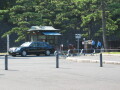 img4369_Zn.jpg