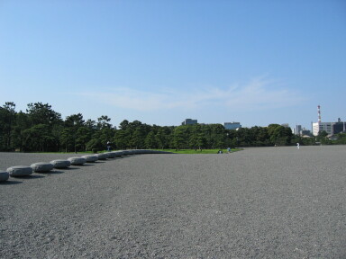 img4376_Zn.jpg