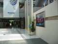img4401_Zn.jpg